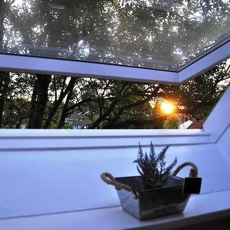 Apartament Evensingsun *